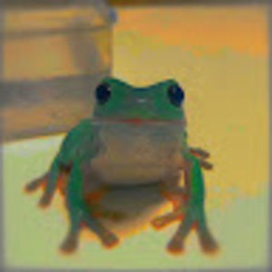 Meet your Posher, Emma